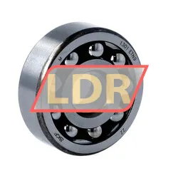SKF 1301ETN9