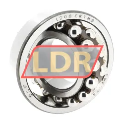 SKF 1206EKTN9 rulman resim 2