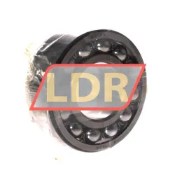 SKF 2310K