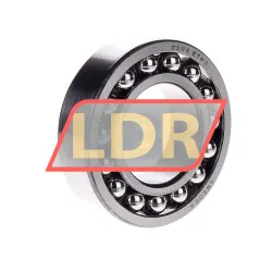 SKF 2209ETN9