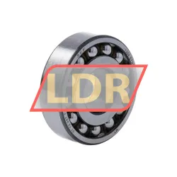SKF 1304ETN9/C3