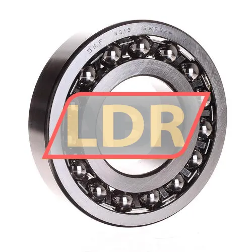 SKF 1316