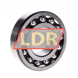 SKF 1310EKTN9