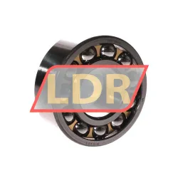 SKF 2309EM/C3