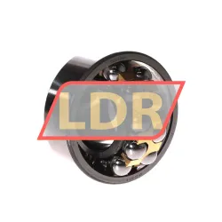 SKF 2309EM/C3 rulman resim 2