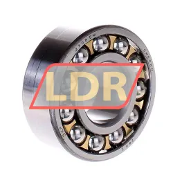 SKF 2308EM