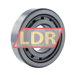 SKF 3NU13