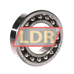 SKF 1209K