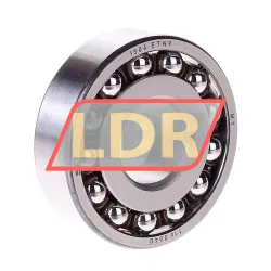 SKF 1304ETN9