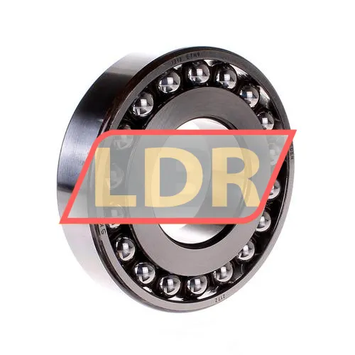 SKF 1313ETN9