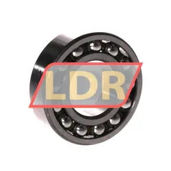 SKF 1205ETN9 rulman resim 2