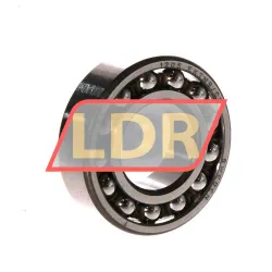 SKF 1205EKTN9/C3