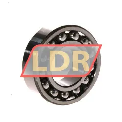SKF 1205EKTN9/C3 rulman resim 2