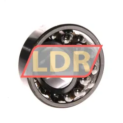 SKF 1205EKTN9/C3 rulman resim 3