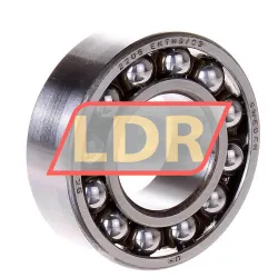 SKF 2206EKTN9/C3