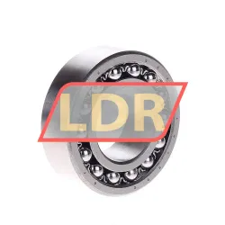 SKF 2206K