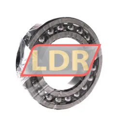 SKF 1219K/C3