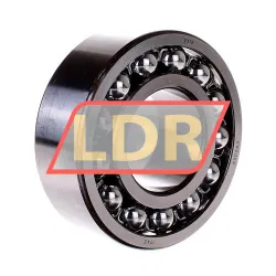 SKF 2313