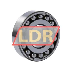 SKF 1308ETN9/C3