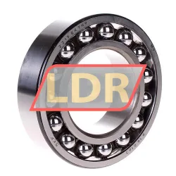 SKF 2213EKTN9