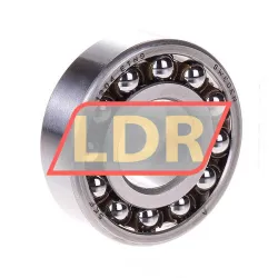 SKF 1204ETN9