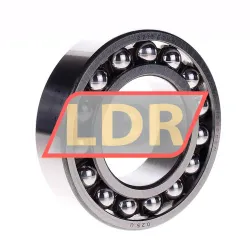 SKF 2213ETN9