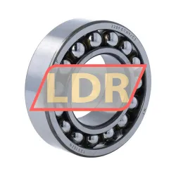 SKF 2209ETN9/C3