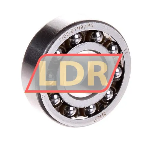 SKF 1202ETN9/P5