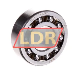 SKF 1202ETN9/P5
