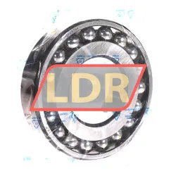 SKF 1313EKTN9