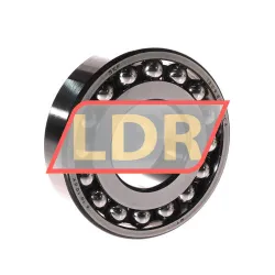 SKF 1309ETN9/C3