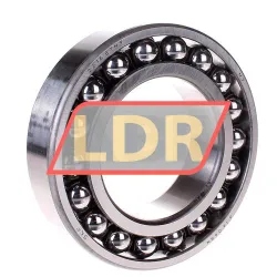 SKF 2216ETN9
