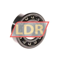 SKF 11205TN9