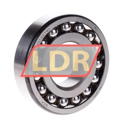 SKF 1307EKTN9