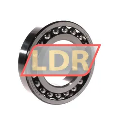 SKF 1213EKTN9/C3