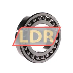 SKF 1213EKTN9/C3 rulman resim 2