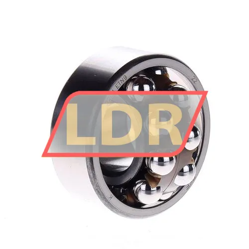 SKF 2204ETN9