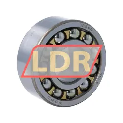 SKF 2306M/P6
