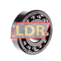 SKF 1305EKTN9