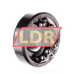 SKF 1305EKTN9 rulman resim 2