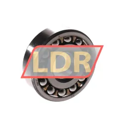 SKF 1303EM/P62