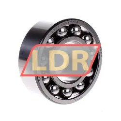 SKF 2309EKTN9/C3