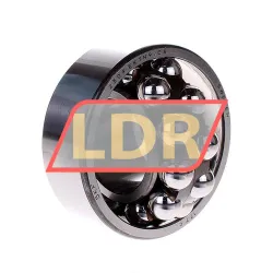 SKF 2309EKTN9/C3 rulman resim 2