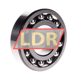 SKF 1310EKTN9/C3