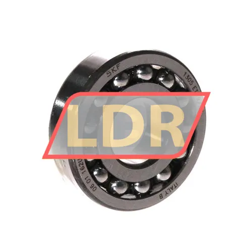 SKF 1305ETN9/C3
