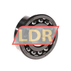 SKF 1305ETN9/C3