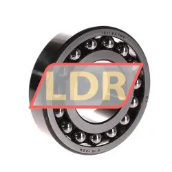 SKF 1311EKTN9