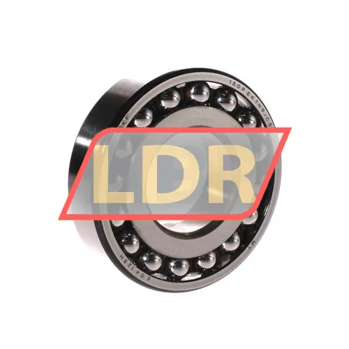 SKF 1309EKTN9/C3