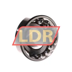SKF 1309EKTN9/C3 rulman resim 2
