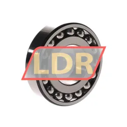 SKF 1309EKTN9/C3 rulman resim 3